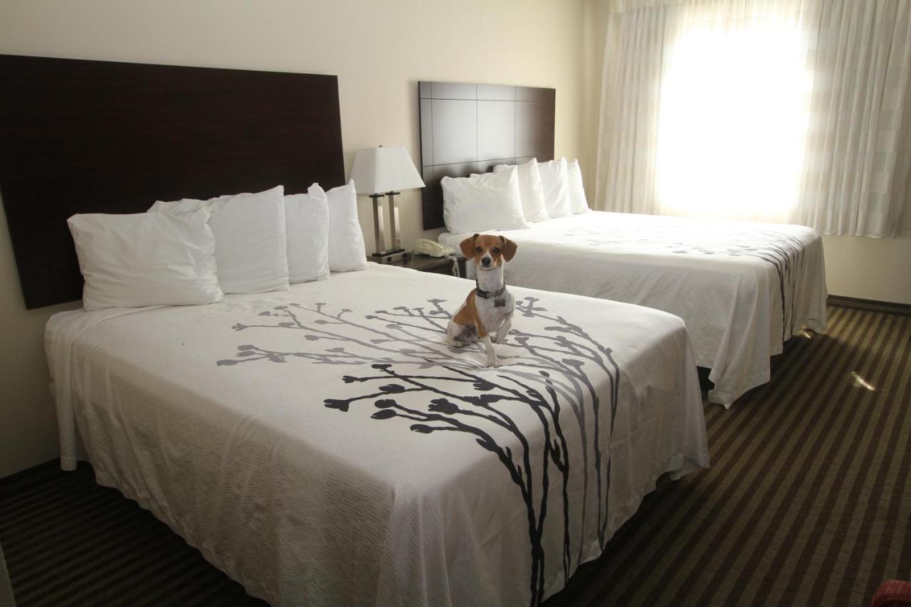 Bowman Inn And Suites Экстерьер фото